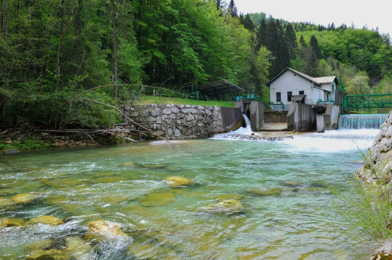 Apartma Marjetica Ii. Blejska Dobrava