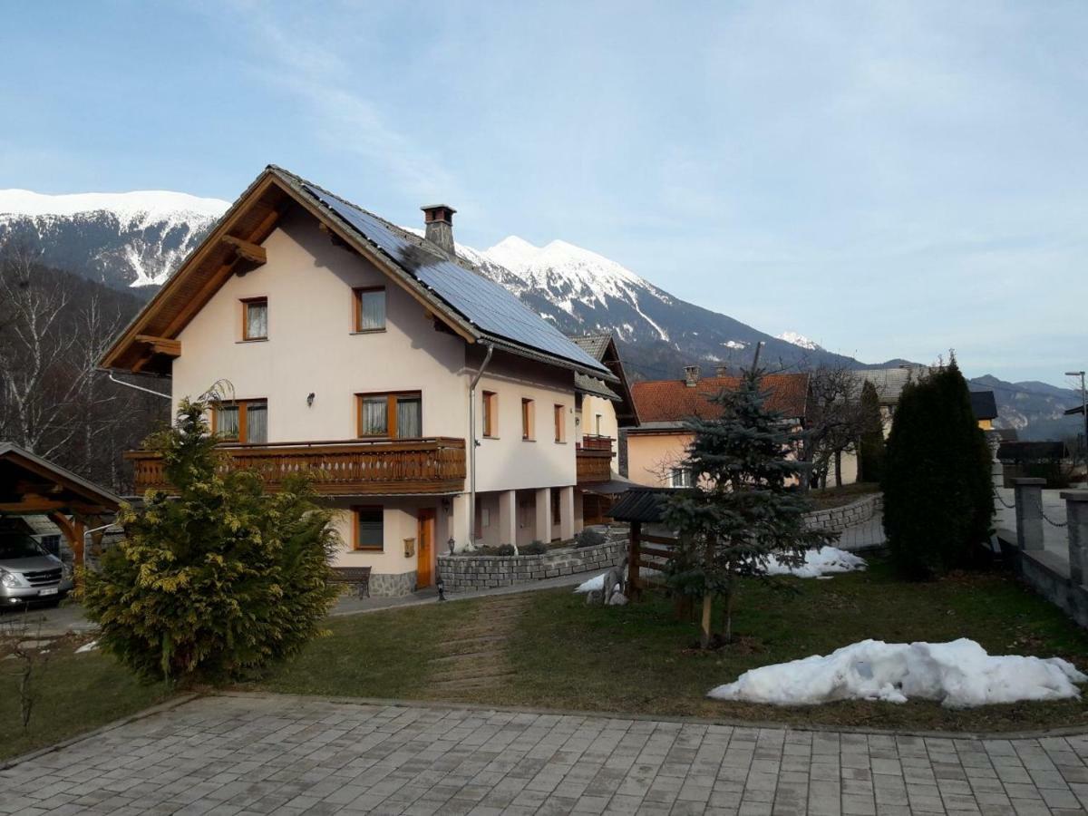 Apartma Marjetica Ii.